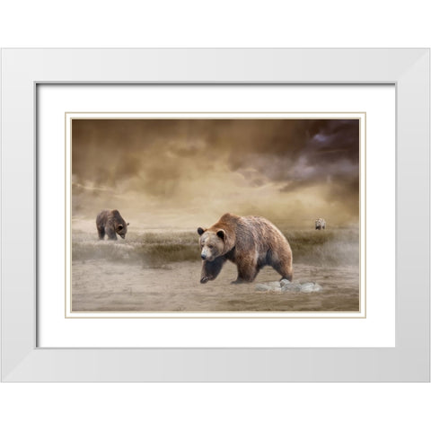 Land of the Grizzly White Modern Wood Framed Art Print with Double Matting by Parker, Kelley