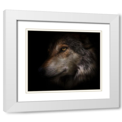 Where Light and Dark Meet White Modern Wood Framed Art Print with Double Matting by Parker, Kelley
