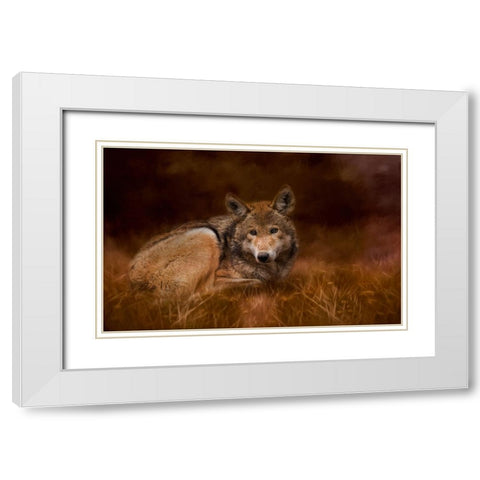 Safe Haven White Modern Wood Framed Art Print with Double Matting by Parker, Kelley