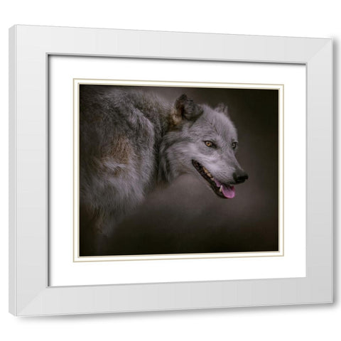 Eye on the Prize White Modern Wood Framed Art Print with Double Matting by Parker, Kelley
