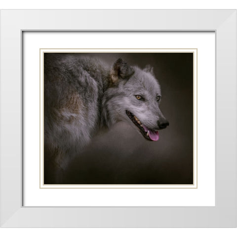 Eye on the Prize White Modern Wood Framed Art Print with Double Matting by Parker, Kelley