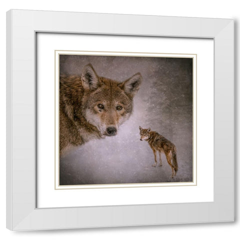 I Am Wolf White Modern Wood Framed Art Print with Double Matting by Parker, Kelley