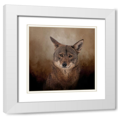 Eyes of the Wolf White Modern Wood Framed Art Print with Double Matting by Parker, Kelley
