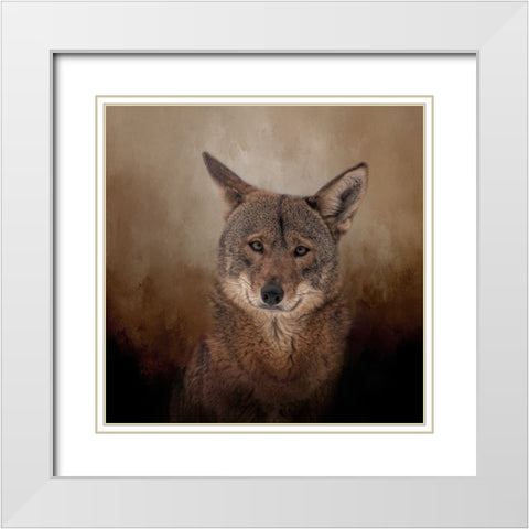 Eyes of the Wolf White Modern Wood Framed Art Print with Double Matting by Parker, Kelley
