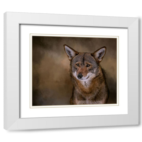 Red Bandit White Modern Wood Framed Art Print with Double Matting by Parker, Kelley