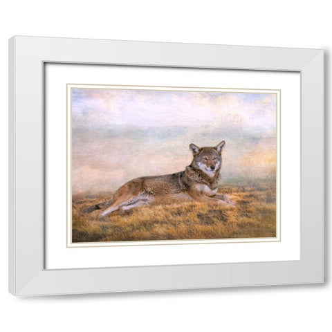 Distant Gaze White Modern Wood Framed Art Print with Double Matting by Parker, Kelley