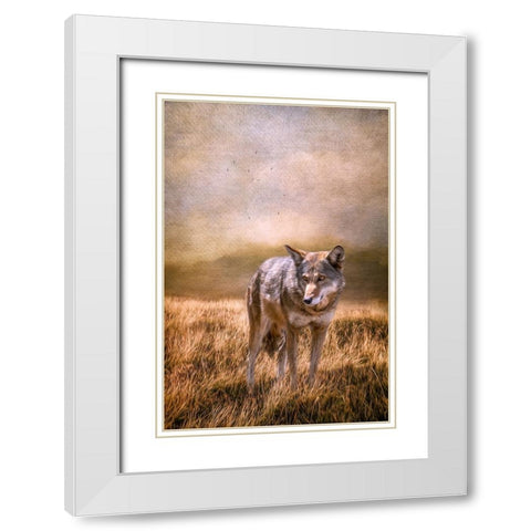 On Patrol White Modern Wood Framed Art Print with Double Matting by Parker, Kelley