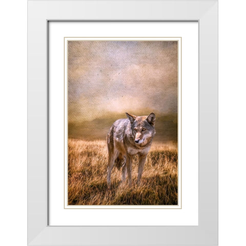 On Patrol White Modern Wood Framed Art Print with Double Matting by Parker, Kelley