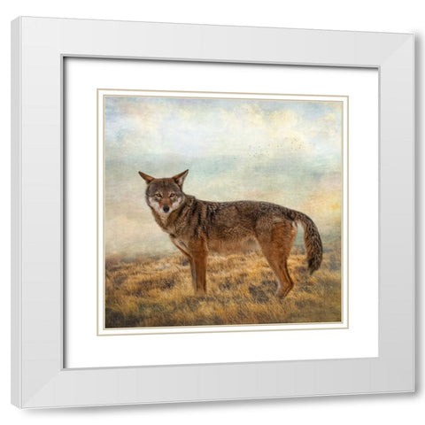 Interested Gaze White Modern Wood Framed Art Print with Double Matting by Parker, Kelley