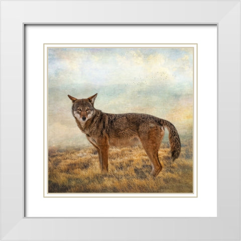 Interested Gaze White Modern Wood Framed Art Print with Double Matting by Parker, Kelley