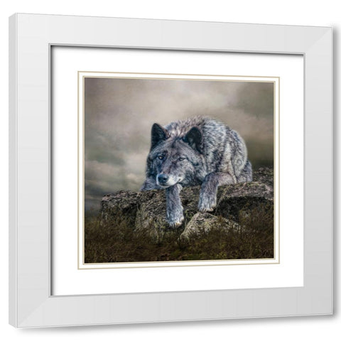 Rocky Perch White Modern Wood Framed Art Print with Double Matting by Parker, Kelley