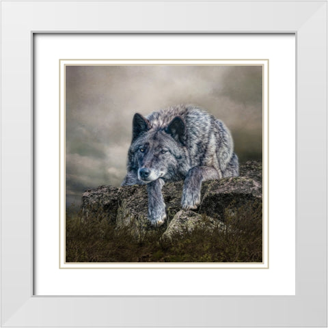 Rocky Perch White Modern Wood Framed Art Print with Double Matting by Parker, Kelley