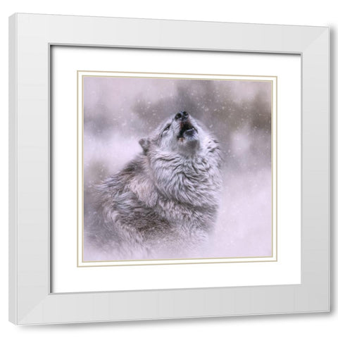 First Call of Winter White Modern Wood Framed Art Print with Double Matting by Parker, Kelley