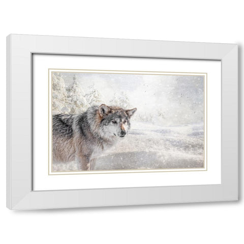 Fresh Snow White Modern Wood Framed Art Print with Double Matting by Parker, Kelley