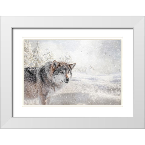 Fresh Snow White Modern Wood Framed Art Print with Double Matting by Parker, Kelley