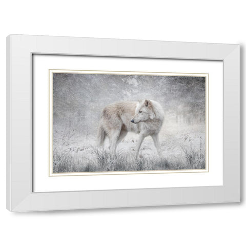 The Forest of Snow White Modern Wood Framed Art Print with Double Matting by Parker, Kelley