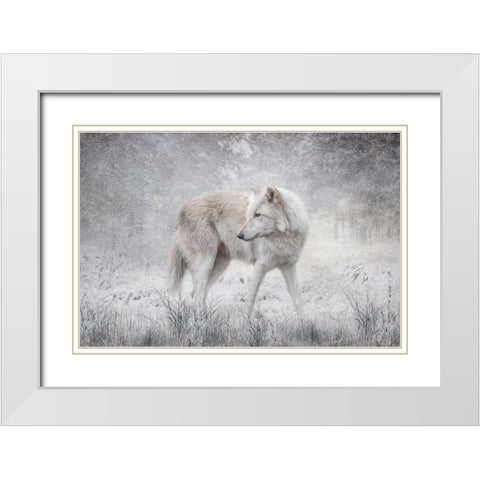 The Forest of Snow White Modern Wood Framed Art Print with Double Matting by Parker, Kelley