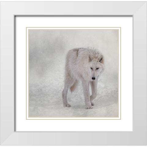 Snow Traveler White Modern Wood Framed Art Print with Double Matting by Parker, Kelley