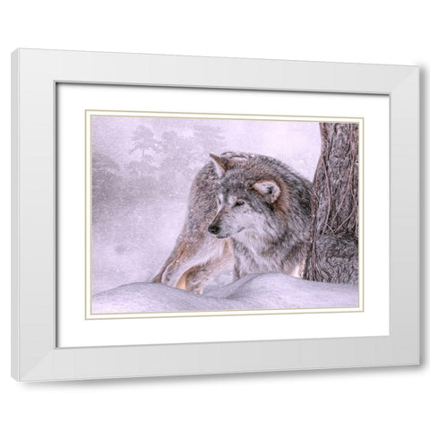 Winters First Hunt White Modern Wood Framed Art Print with Double Matting by Parker, Kelley