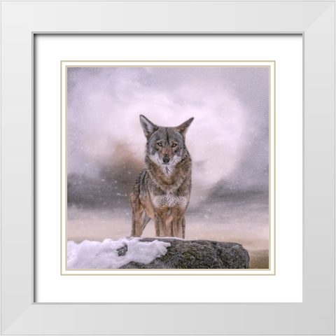 Welcoming Winter White Modern Wood Framed Art Print with Double Matting by Parker, Kelley