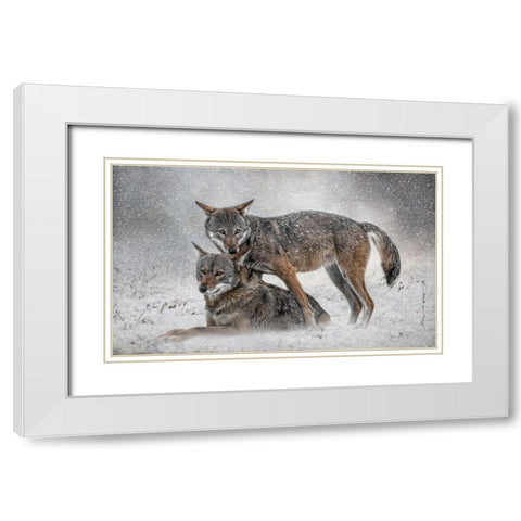 Shelter from the Storm White Modern Wood Framed Art Print with Double Matting by Parker, Kelley