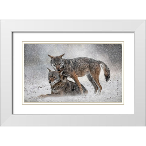 Shelter from the Storm White Modern Wood Framed Art Print with Double Matting by Parker, Kelley
