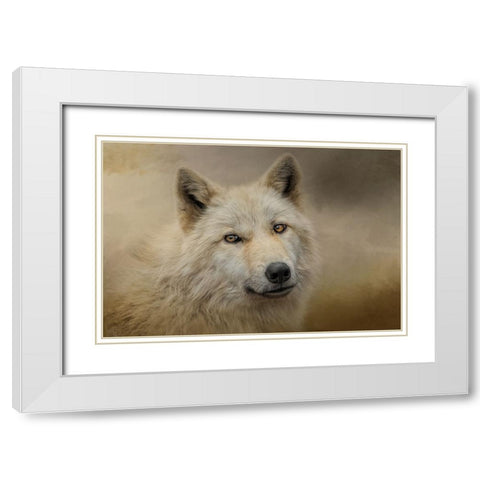 Windows to the Soul White Modern Wood Framed Art Print with Double Matting by Parker, Kelley