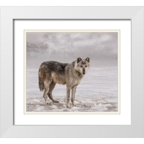 The Wolf of Winter White Modern Wood Framed Art Print with Double Matting by Parker, Kelley