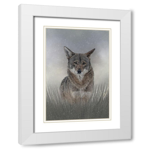 Wolf Among Us White Modern Wood Framed Art Print with Double Matting by Parker, Kelley