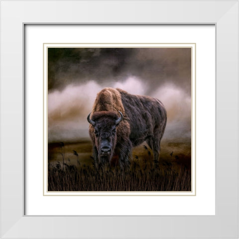 Master of His Herd White Modern Wood Framed Art Print with Double Matting by Parker, Kelley