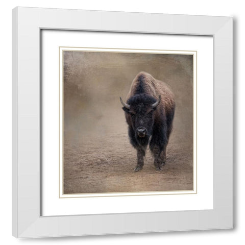 Miss Shaggy White Modern Wood Framed Art Print with Double Matting by Parker, Kelley