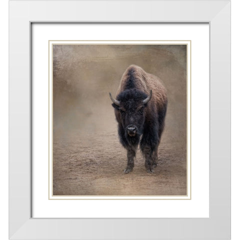 Miss Shaggy White Modern Wood Framed Art Print with Double Matting by Parker, Kelley