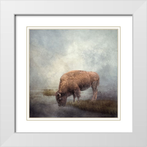 At the Watering Hole White Modern Wood Framed Art Print with Double Matting by Parker, Kelley
