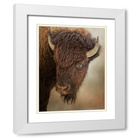 Eye of the Bison White Modern Wood Framed Art Print with Double Matting by Parker, Kelley