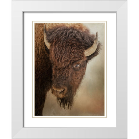 Eye of the Bison White Modern Wood Framed Art Print with Double Matting by Parker, Kelley