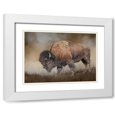 Where the Bison Roam White Modern Wood Framed Art Print with Double Matting by Parker, Kelley