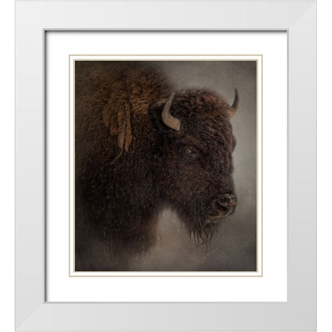 Deep Freeze White Modern Wood Framed Art Print with Double Matting by Parker, Kelley