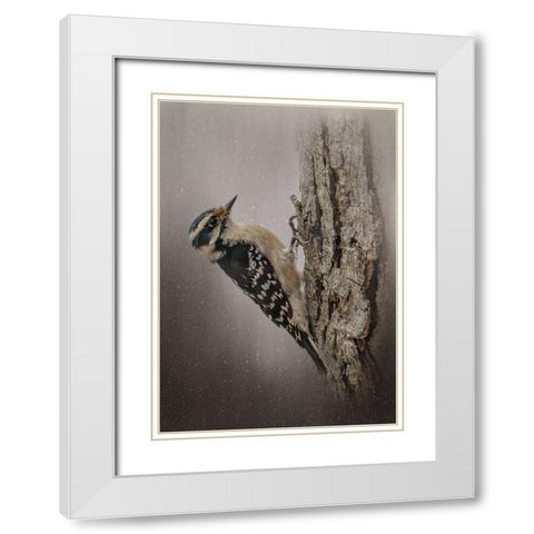 Little Carpenter White Modern Wood Framed Art Print with Double Matting by Parker, Kelley