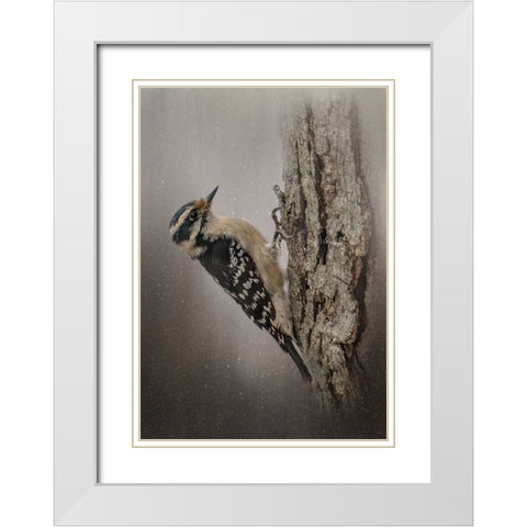 Little Carpenter White Modern Wood Framed Art Print with Double Matting by Parker, Kelley