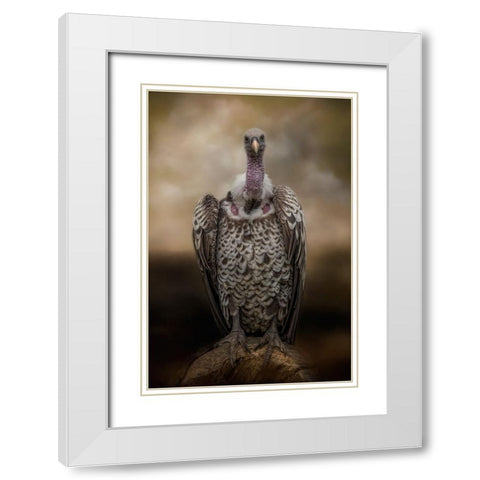 Look Into My Eyes White Modern Wood Framed Art Print with Double Matting by Parker, Kelley
