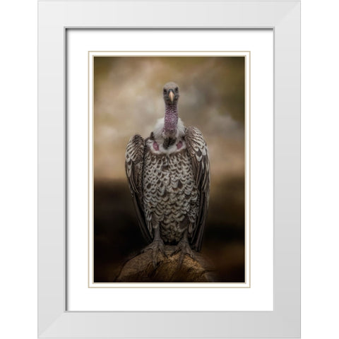 Look Into My Eyes White Modern Wood Framed Art Print with Double Matting by Parker, Kelley