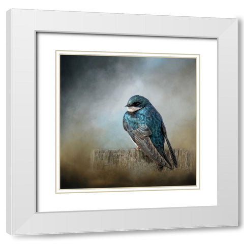 Pretty Boy Blue White Modern Wood Framed Art Print with Double Matting by Parker, Kelley