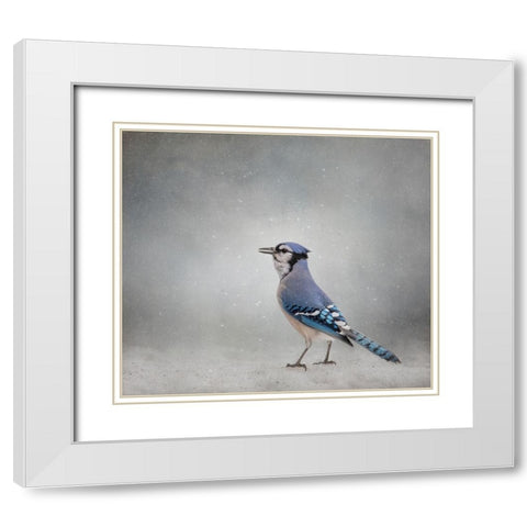 Frosty Morning White Modern Wood Framed Art Print with Double Matting by Parker, Kelley