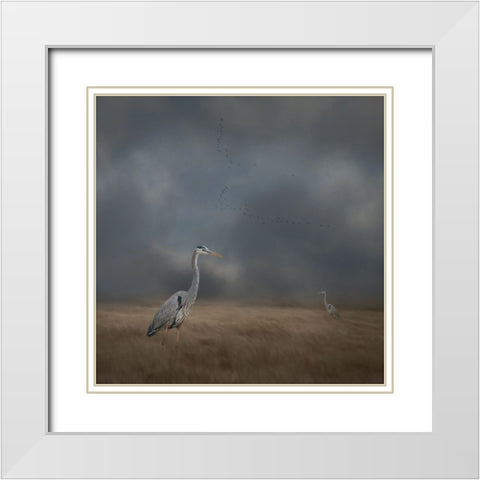 Herons Sanctuary White Modern Wood Framed Art Print with Double Matting by Parker, Kelley