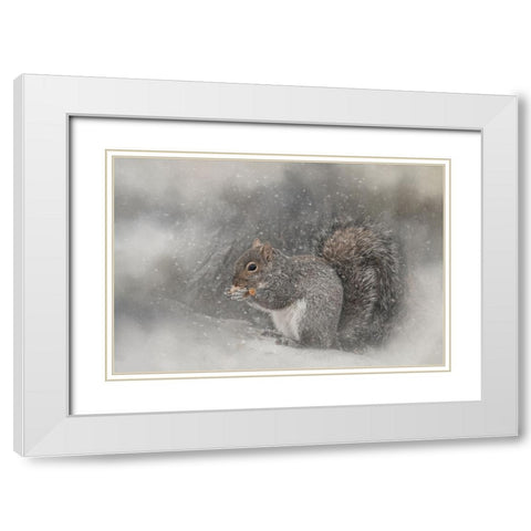 Snack Time White Modern Wood Framed Art Print with Double Matting by Parker, Kelley