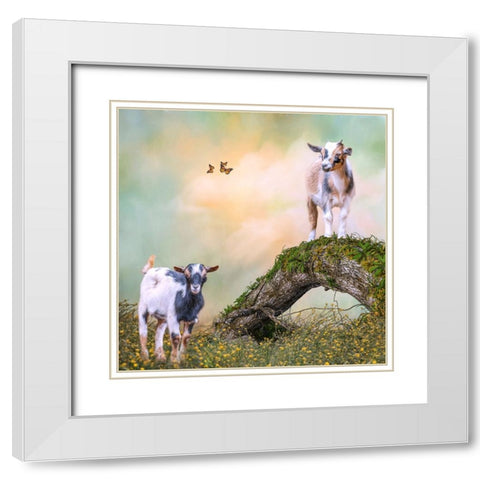 Getting a Better View White Modern Wood Framed Art Print with Double Matting by Parker, Kelley