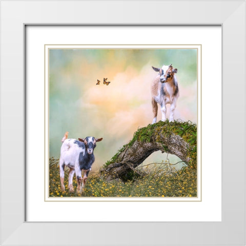 Getting a Better View White Modern Wood Framed Art Print with Double Matting by Parker, Kelley