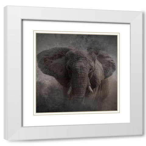 Survivor White Modern Wood Framed Art Print with Double Matting by Parker, Kelley