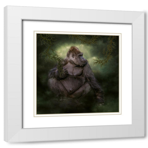 Welcome to the Safari White Modern Wood Framed Art Print with Double Matting by Parker, Kelley