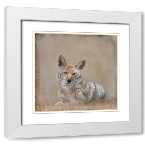 Perfect Pose White Modern Wood Framed Art Print with Double Matting by Parker, Kelley